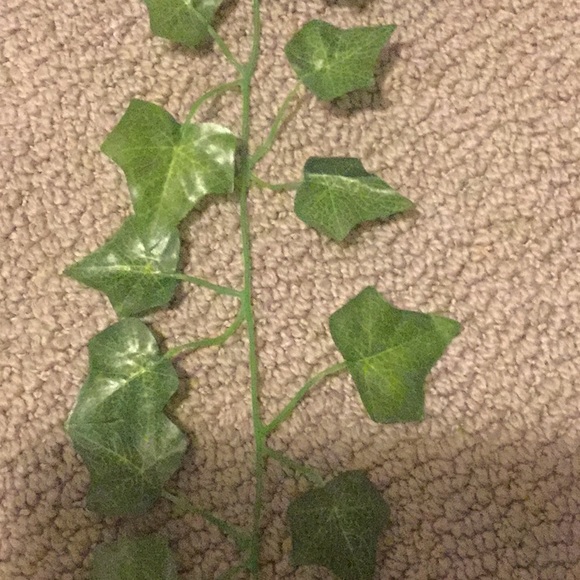 Brand New VINES🌿 (1 strand) - Picture 2 of 3